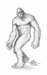 Sasquatch Drawing Paintingvalley Drawings sketch template
