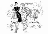 Sheets Equestrian Equinest sketch template
