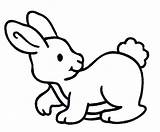 Konijnen Kaninchen Rabbit Ausmalbilder Kelinci Conejos Mewarnai Animasi Malvorlagen Konijn Lapins Bergerak Lapin Hase Hasen Malvorlage Coelho Colorare Colorier Coloriage sketch template
