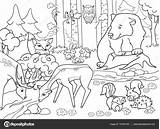 Coloring Krajobraz Forest Animals Landscape Adults Pages Colorare Da Kolorowanki Deer Immagini Illustration Fox Bear Per Las Zwierzęta Foresta Animal sketch template