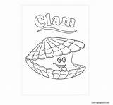 Clam sketch template