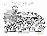 Coloring Farm Kids Seeds Vegetables Sheet Growing Printable Fruits Pages Crops Farming Fruit Scene Colouring Sheets Color Taking Care Newly sketch template