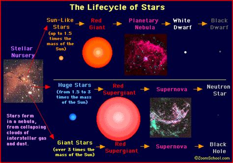 life cycle   star astronomy enchanted learning