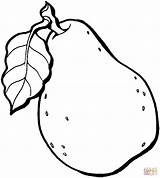 Pear Coloring Pages Color Online sketch template