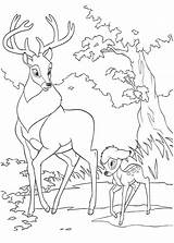 Coloring Pages Kubo Bambi Getcolorings Color sketch template