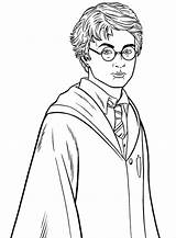 Potter sketch template