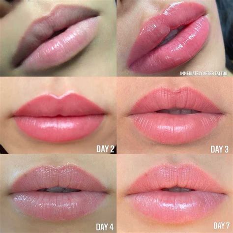gloss   lips   lipstutorialorg