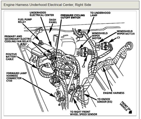 diagram electric fan relay wiring diagram   trans  mydiagramonline