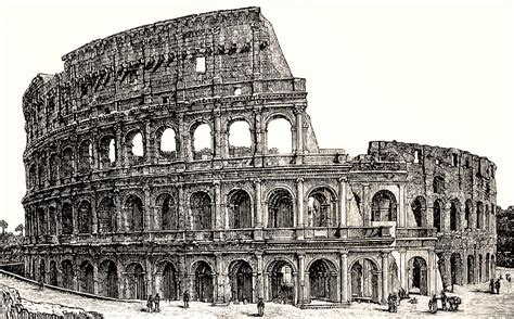 colosseum rome drawing  paintingvalleycom explore collection