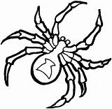 Widow Spiders Coloringtop Via Abetterhowellnj sketch template