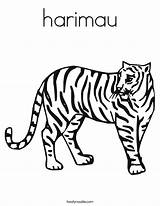 Tiger Coloring Worksheet Stripes Harimau Has Drawing Lsu Sheet Print Tracing Pages Outline Book Animals Choy Gung Hay Fat Twisty sketch template