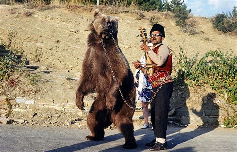 The History Of Bulgarias Dancing Bears Wobbly Ride