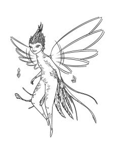 fairy  printable coloring pages  kids