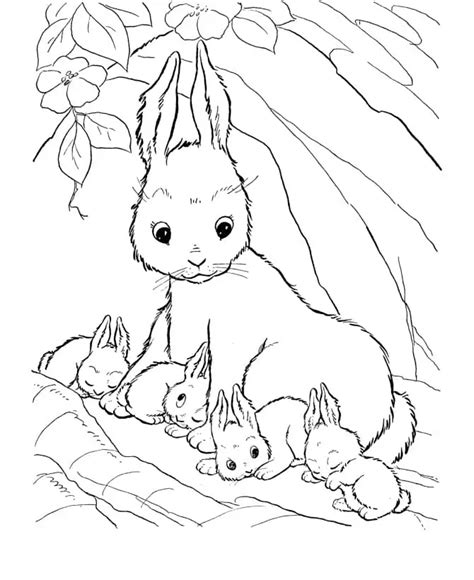 cartoon rabits family coloring page  printable coloring pages