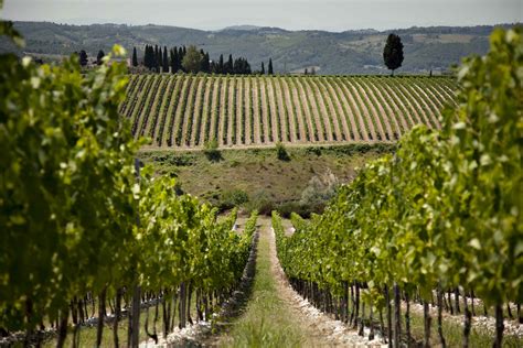chianti lovers rejoice     antinori winery tours