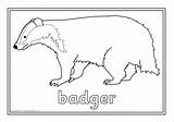 Wildlife Colouring British Sheets sketch template