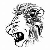 Lion Stencil Tiger Tattoo Face Roaring Head Tribal Designs Stencils Clipart Crown Cliparts Rooster Simple Tatto Tattoos Sketch Clip Fighting sketch template