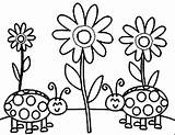 Coloring Flower Sun Bug Lady Color sketch template