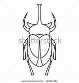 Beetle Coloring Rhinoceros Designlooter European Icon Outline Illustration Vector Web 470px 25kb sketch template