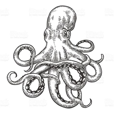 drawing octopus tattoo flash  tattoo ideas