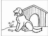 Retriever Puppy Chesapeake Kleurplaten Kleurplaat Dogs sketch template