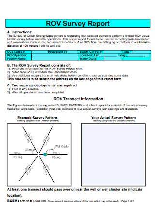 sample survey reports   ms word google docs apple pages