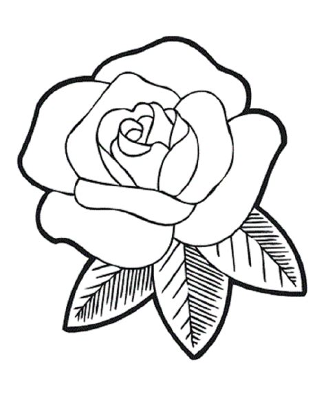 rose coloring pages  decoration educative printable