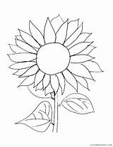 Sunflower Coloring Pages Printable Coloring4free Related Posts sketch template