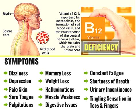 Signs And Symptoms Of Vitamin B12 Deficiency In Older Adults – Nursing