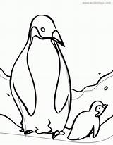 Penguin Baby Mom Coloring Pages Xcolorings 1024px 91k Resolution Info Type  Size Jpeg sketch template