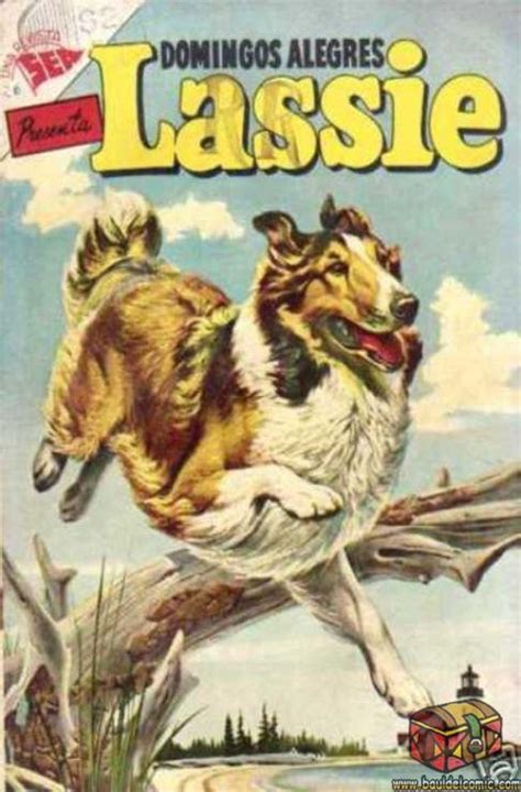 domingos alegres 52 lassie issue