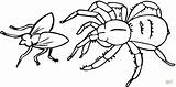Spider Coloring Pages Printable Kids Web Spiders Color Cartoon Cliparts Clipart Charlotte Print Clip Animated Fly Sheets Online Library Hunting sketch template