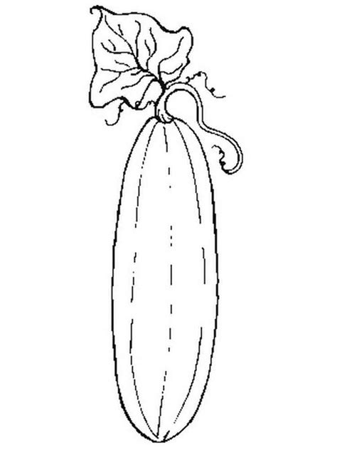 summer squash page coloring pages