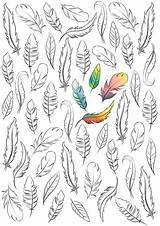 Feathers Sheets sketch template