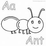Ants Coloringfolder Getdrawings Coloringnori sketch template