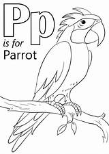 Parrot Animals Supercoloring Letra Abc Dibujar sketch template