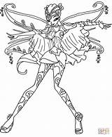 Winx Tynix Winks Awesome sketch template