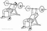 Bench Incline Grip Close Press Drawing Workoutlabs Presses Getdrawings sketch template