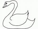 Angsa Gambar Mewarnai Bebek Diwarnai Putih Hitam Anak Binatang Contoh Sketsa Paud Hewan Ovipar Aneka Belajar Lucu Burung Warna sketch template