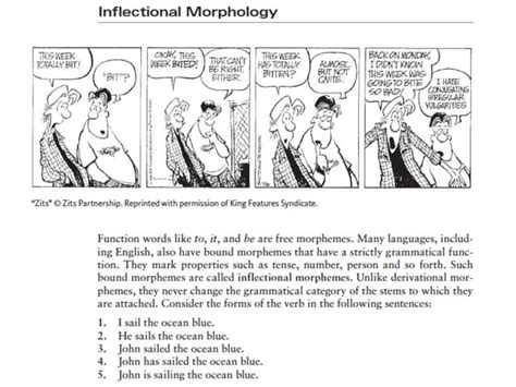 morphology student