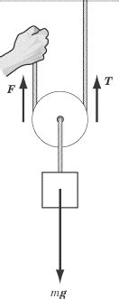 body diagram   pulley wiring site resource