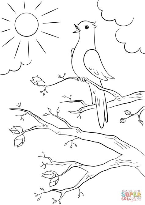 spring bird coloring page  printable coloring pages