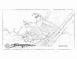 Coloring Jody Bergsma Pages Adult sketch template