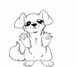Sad Drawing Puppy Dog Getdrawings Deviantart Downloads sketch template