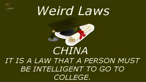 24 Weird Laws Around The World Strange Laws Weird Facts Youtube