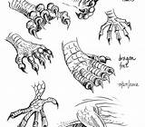 Dragon Claws sketch template