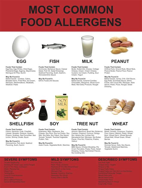 launched   common food allergen poster designed