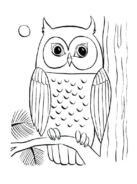 baby owl coloring pages  getcoloringscom  printable colorings