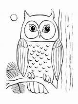 Owl Coloring Pages Owls Baby Simple Cute Adult Drawing Kids Printable Flying Cool Colouring Color Sheet Print Big Getcolorings Getdrawings sketch template