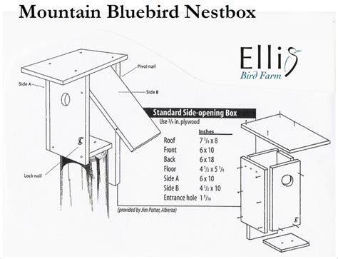 cardinal birdhouse plans  printable bird house plans   beginner birdhouse designs